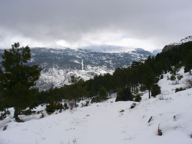 Camarena de la Sierra