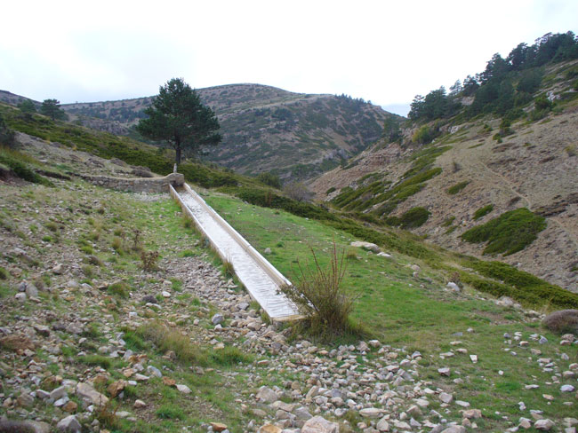 Fuente El Pajaro - Camarena de la Sierra