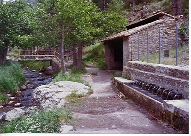 Fuente El Cabrito - Camarena de la Sierra