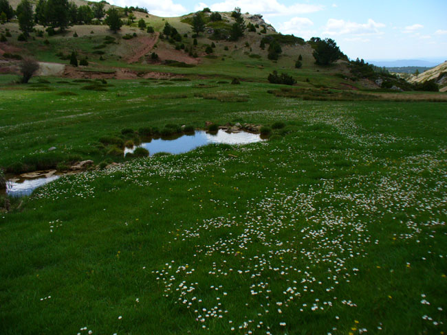 Fuente La Saladilla - Camarena de la Sierra